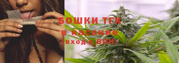 стаф Каменка