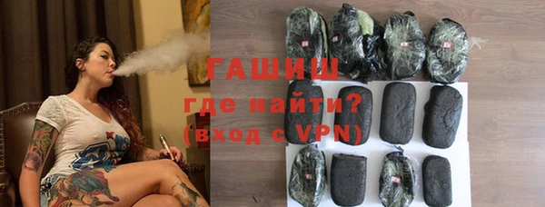 стаф Каменка