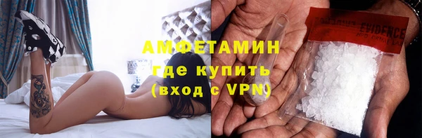 стаф Каменка