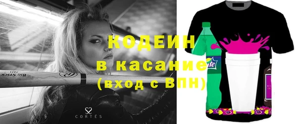 стаф Каменка