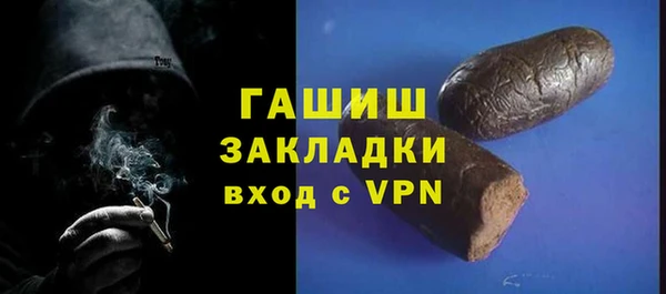 стаф Каменка