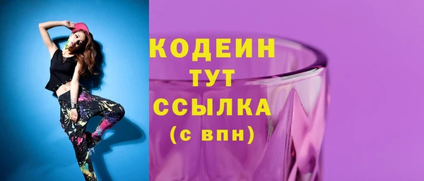 стаф Каменка