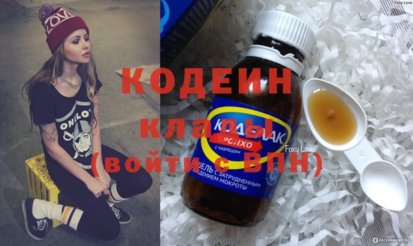 стаф Каменка