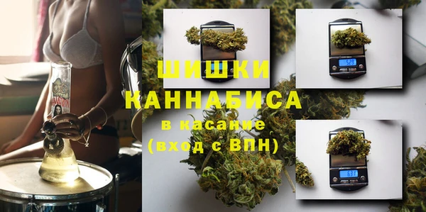 стаф Каменка