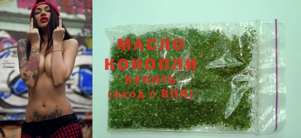 стаф Каменка