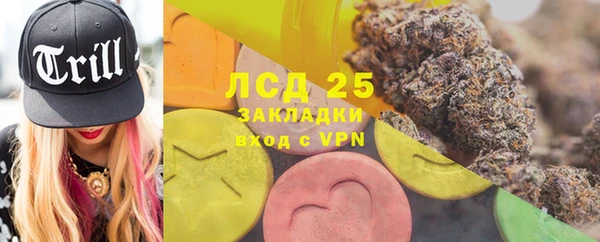 стаф Каменка