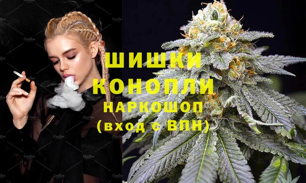стаф Каменка