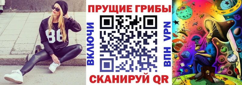 Галлюциногенные грибы Cubensis  Купить закладки  Тырныауз 